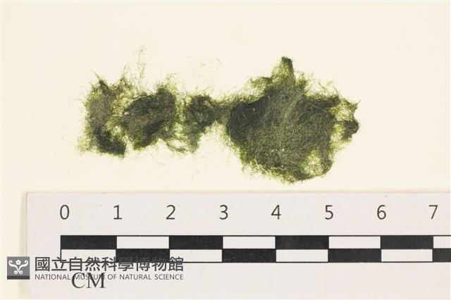 登錄號:A00005552藏品圖，第1張