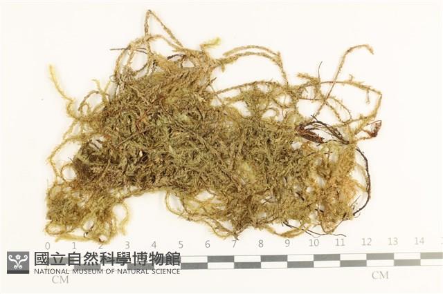 登錄號:B00021452藏品圖，第1張