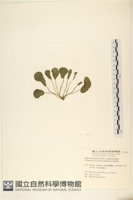 登錄號:A00001452藏品圖，第3張