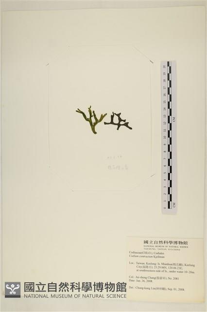 登錄號:A00007852藏品圖，第3張
