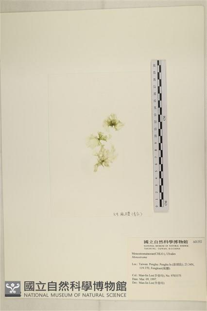 登錄號:A00001352藏品圖，第3張
