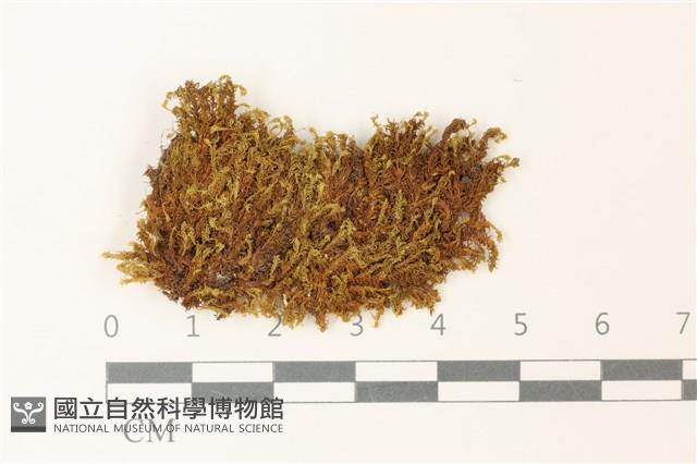 登錄號:B00002752藏品圖，第1張