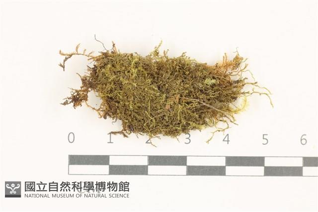 登錄號:B00014622藏品圖，第1張