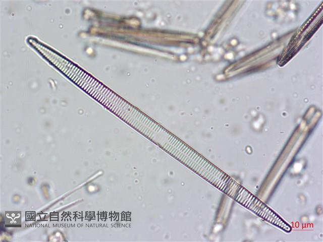 登錄號:A00004622藏品圖，第4張