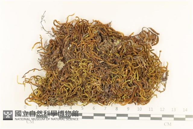 登錄號:B00003622藏品圖，第1張