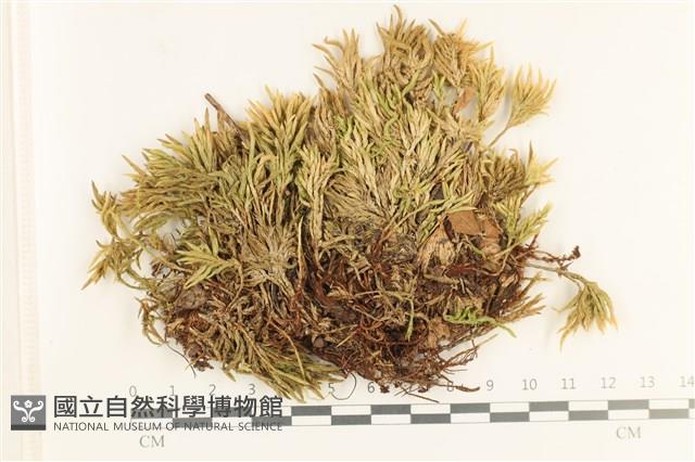 登錄號:B00017222藏品圖，第1張