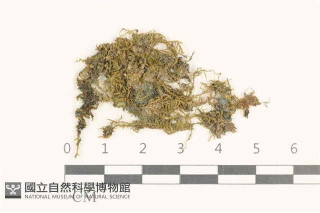 登錄號:B00009022藏品圖，第1張
