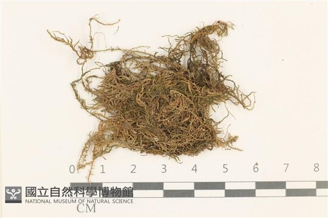 登錄號:B00015122藏品圖，第1張