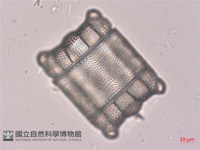 登錄號:A00004522藏品圖，第3張