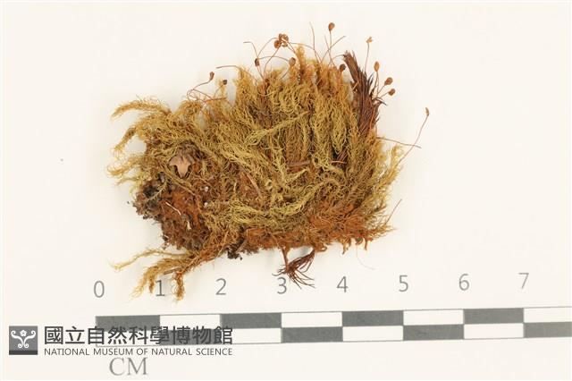 登錄號:B00015522藏品圖，第1張