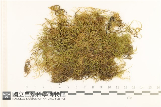 登錄號:B00000522藏品圖，第1張