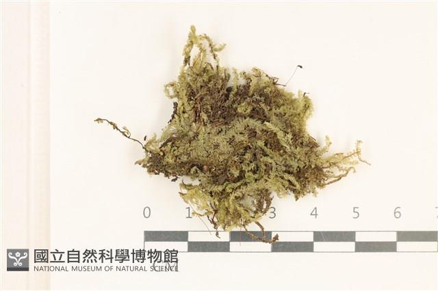館號:B00018422藏品圖，第1張