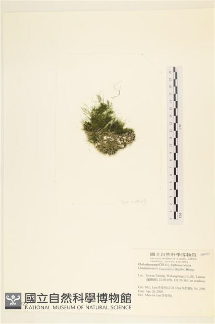 登錄號:A00004422藏品圖，第3張