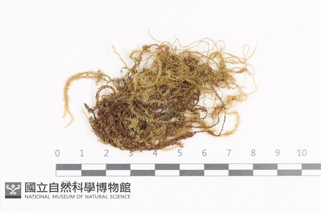 登錄號:B00004722藏品圖，第1張