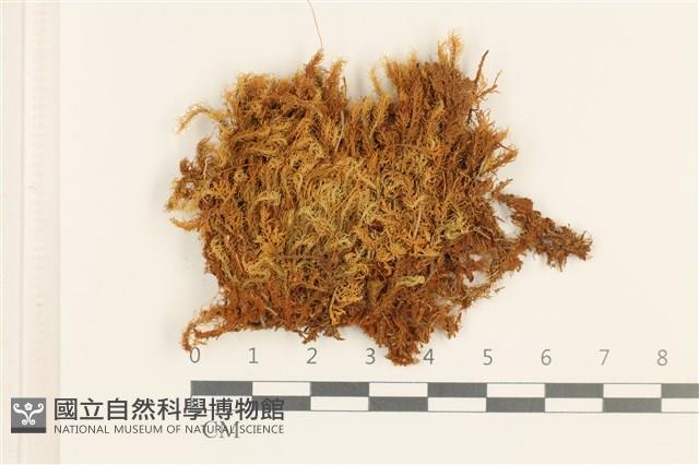 登錄號:B00013722藏品圖，第1張