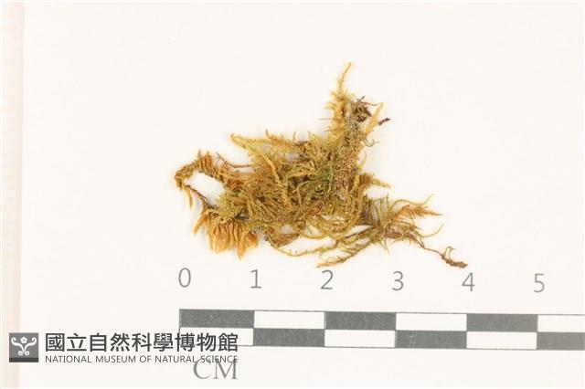 登錄號:B00009672藏品圖，第1張