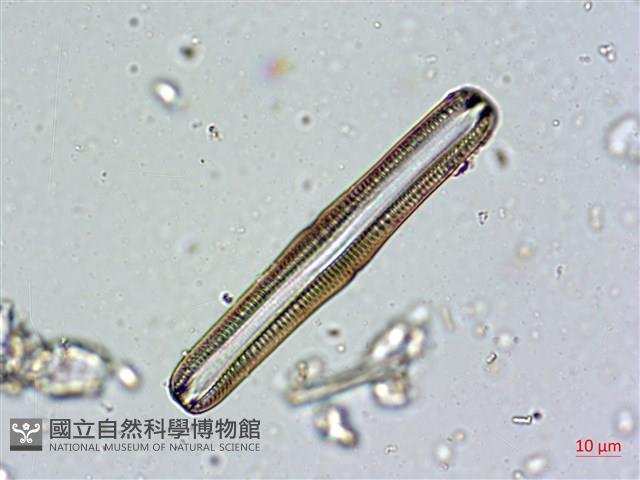 登錄號:A00004672藏品圖，第4張