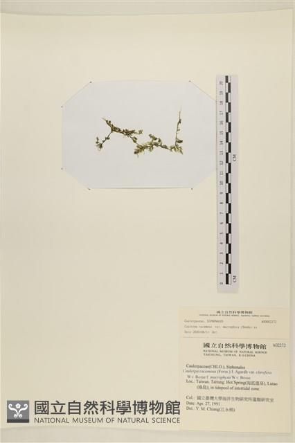 登錄號:A00002272藏品圖，第3張