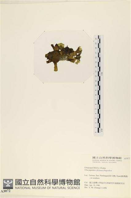 登錄號:A00003072藏品圖，第3張