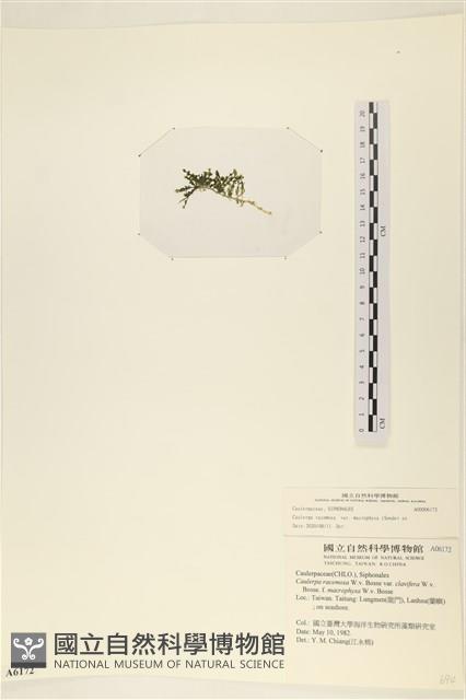 館號:A00006172藏品圖，第3張