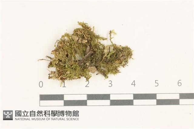 登錄號:B00015572藏品圖，第1張