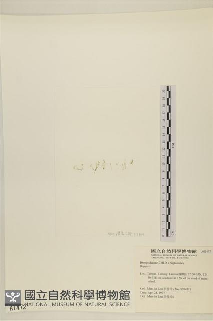 登錄號:A00001472藏品圖，第3張