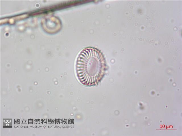登錄號:A00004612藏品圖，第4張