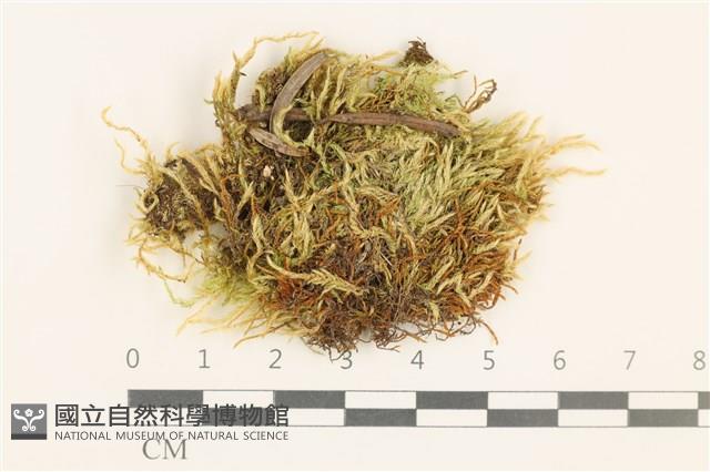 登錄號:B00017212藏品圖，第1張
