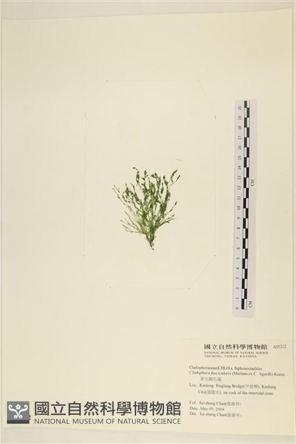 登錄號:A00005212藏品圖，第3張