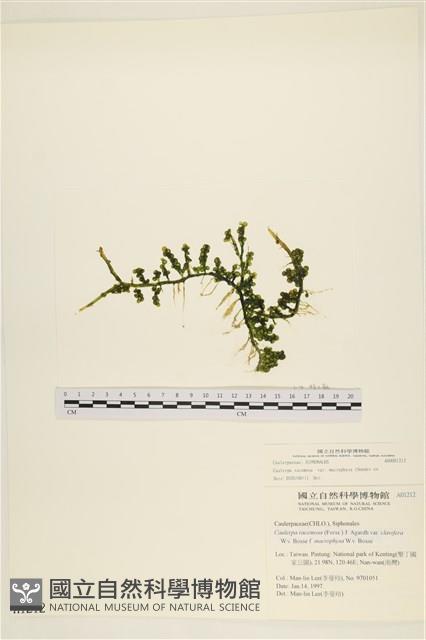 登錄號:A00001212藏品圖，第1張