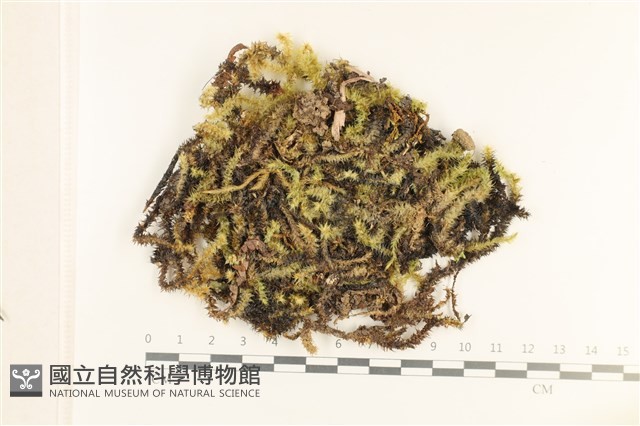 登錄號:B00008012藏品圖，第1張