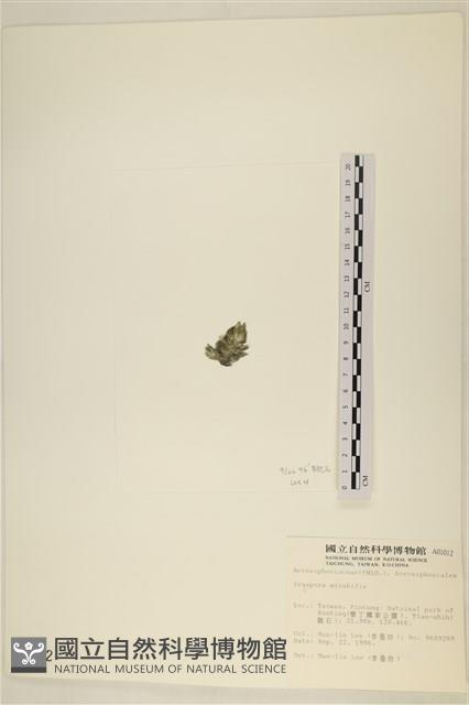 登錄號:A00001012藏品圖，第3張