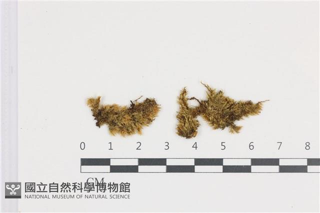 登錄號:B00009112藏品圖，第1張