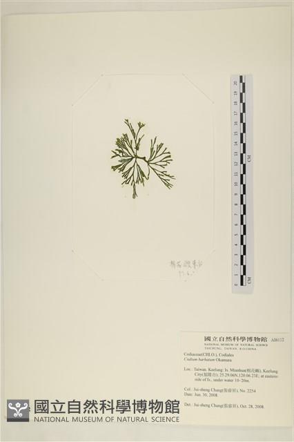 登錄號:A00006112藏品圖，第3張