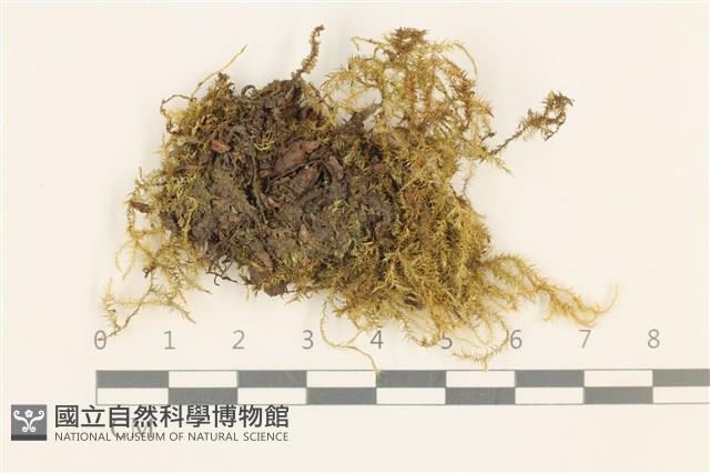 登錄號:B00015112藏品圖，第1張