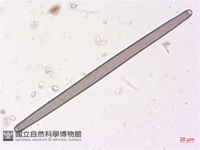 登錄號:A00004512藏品圖，第4張