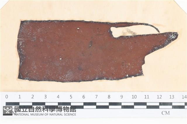 登錄號:A00003512藏品圖，第1張