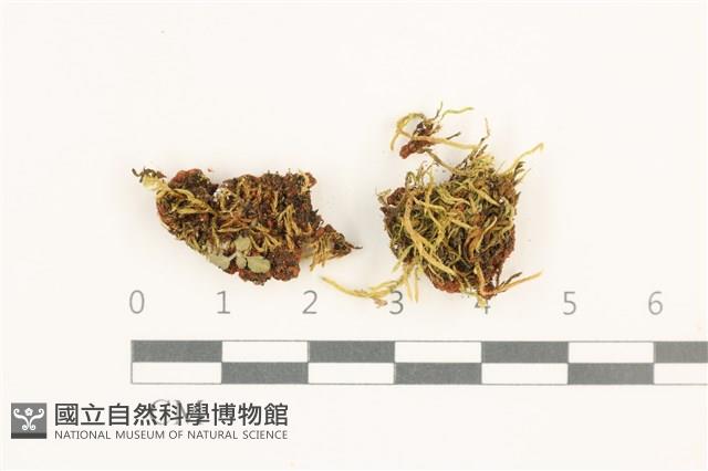 登錄號:B00012412藏品圖，第1張