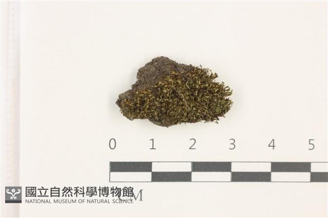 Accession Number:B00013412 Collection Image, Figure 1, Total 2 Figures