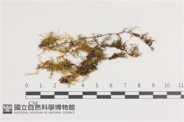 登錄號:B00004712藏品圖，第1張