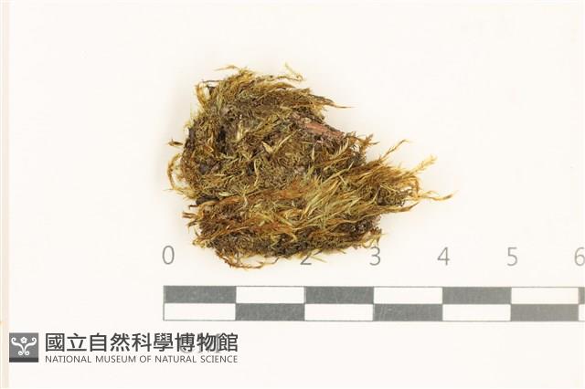 登錄號:B00021712藏品圖，第1張
