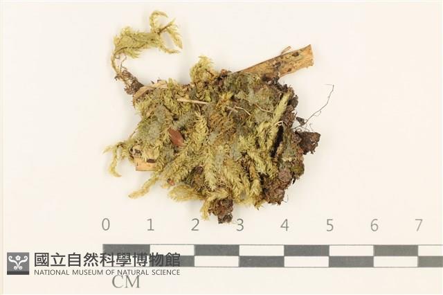 登錄號:B00021692藏品圖，第1張