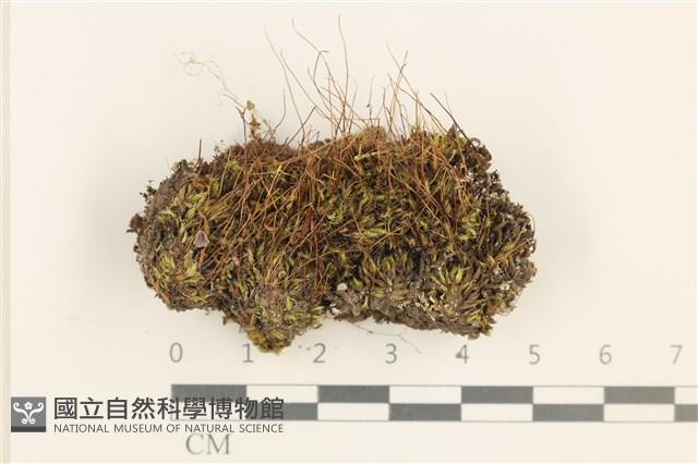 登錄號:B00010692藏品圖，第1張