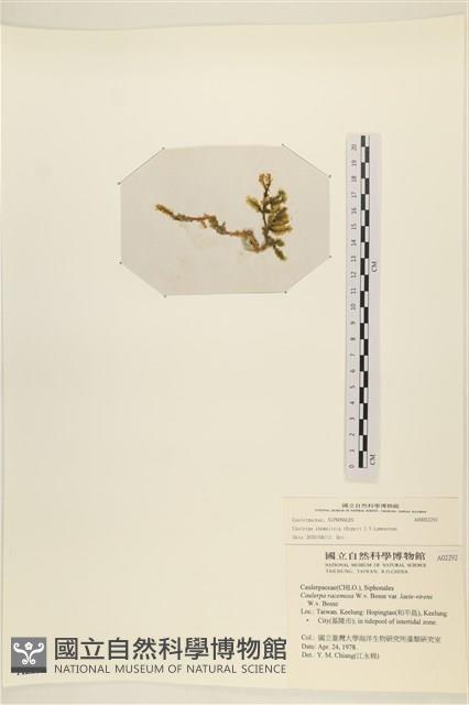 登錄號:A00002292藏品圖，第3張