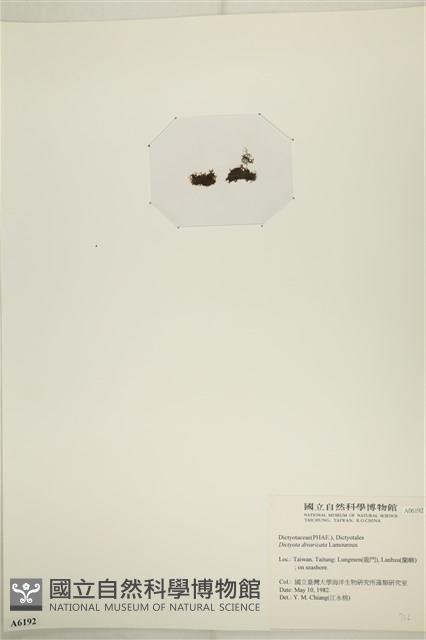 登錄號:A00006192藏品圖，第3張