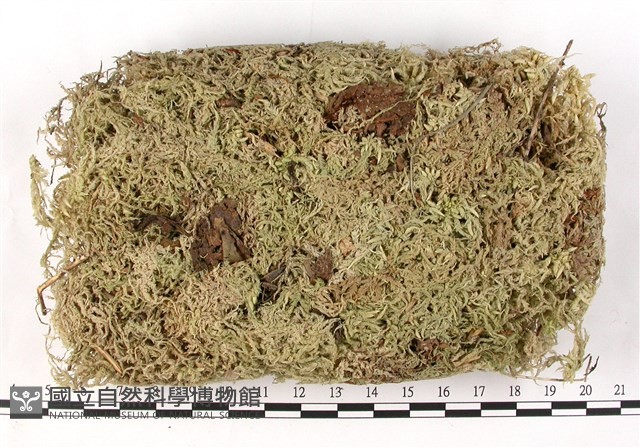 登錄號:B00010592藏品圖，第1張