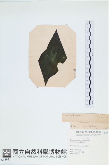 登錄號:A00003592藏品圖，第3張