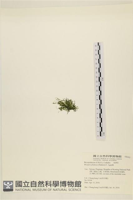 登錄號:A00006492藏品圖，第3張