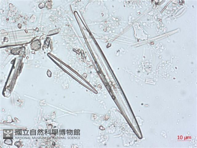登錄號:A00004492藏品圖，第3張