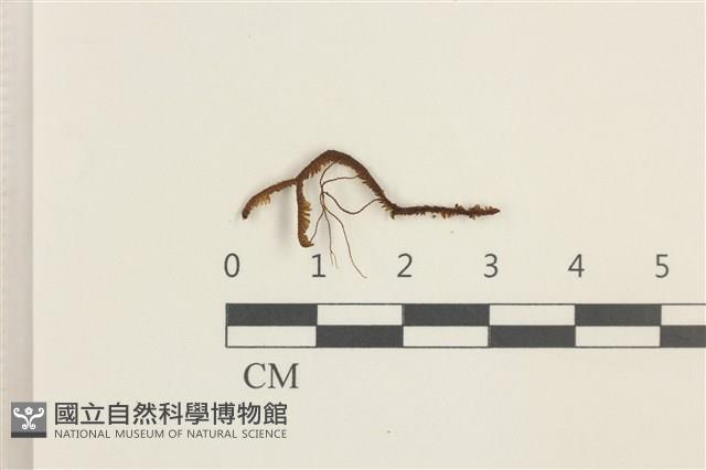 登錄號:B00018392藏品圖，第1張